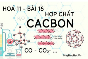 Tính chất hoá học của cacbon oxit (CO), cacbon dioxit (CO2) muối cabonnat và bài tập - hoá 11 bài 16
